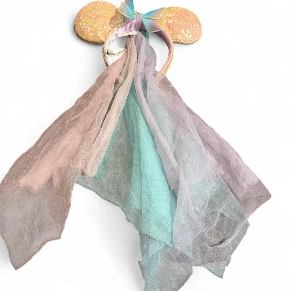 Disney parks ears